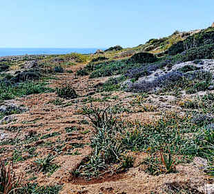 Nationalpark Kap Greco