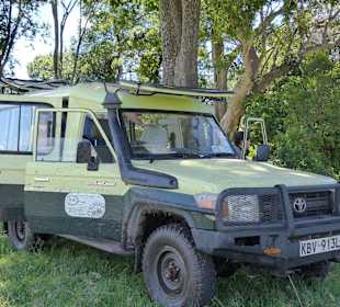 Mit D.M.Tours in der Masai Mara