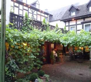 Blick in den schönen Weingarten
