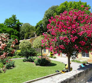 Im Garten des Pavillon de Vendôme