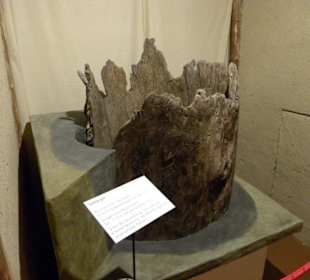 Schloss Friedenstein, Historisches Museum