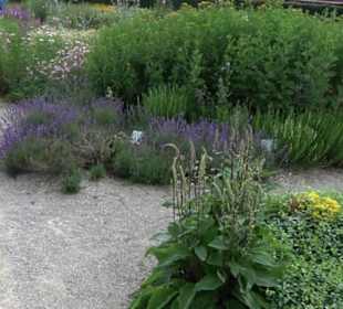 ALB-GOLD Naturgarten