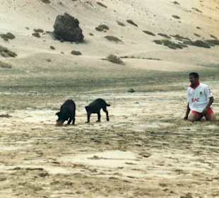 Praia Grande - Küstenabschnitt