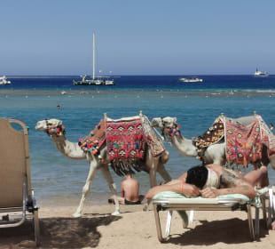 Strand Makadi Bay