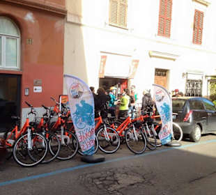 Wheely Bike Rental & Tour