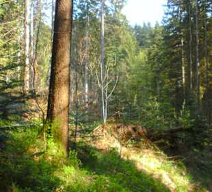 Nicht so dunkel wie erwartet