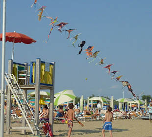 Hier kann man sich einen Drachen aussuchen 