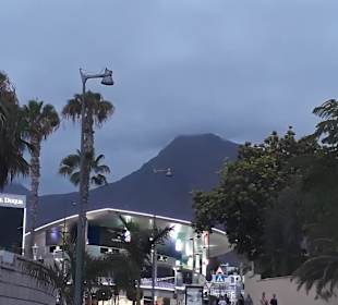 Stadtrundgang Costa Adeje