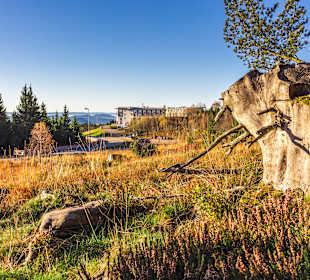 Wandern Schliffkopf