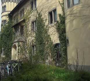 Schloss Königsegg Mittelzell