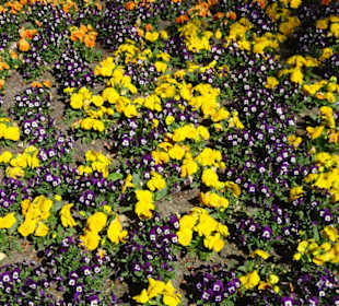 Impressionen vom Rundgang durch den Kurpark