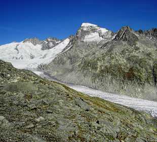 Dammastock (3630 m) und Rhônegletscher