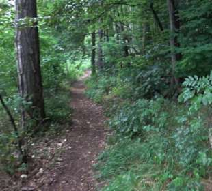 Museum Römer und Bajuwaren