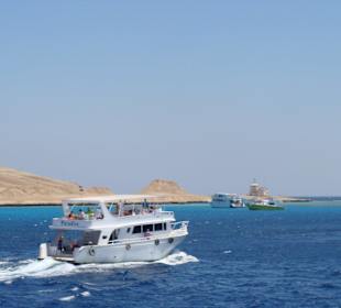 Podróż na wyspę Giftun