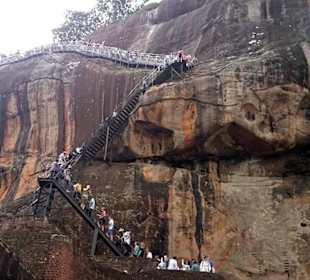 Löwenfelsen Sigiriya