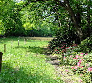 Impressionen vom Rundweg durch den Park