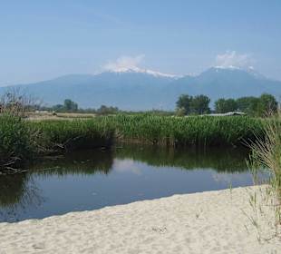 Strand Olympic Beach/Olympiaki Akti