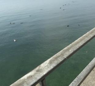 Uferpromenade Friedrichshafen