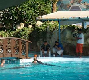 Delfinarium niedaleko hotelu Shores Golden