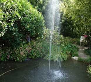 Wasser in Bewegung