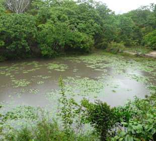 Wunderschöner Ausblick vom Restaurant