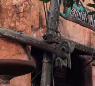 Deep in Africa - Black Mamba