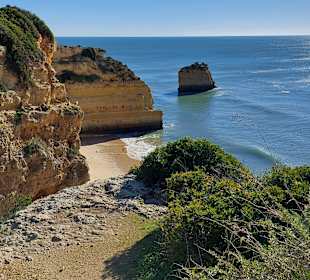 Seven Hanging Valleys Trail 