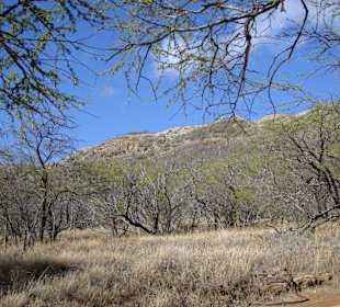 Innerhalb des Kraters