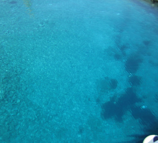 Bick ins Hafenbecken!!