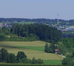 Naturschutzgebiet Forchenkopf Wittlensweiler