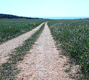 Nationalpark Kap Greco