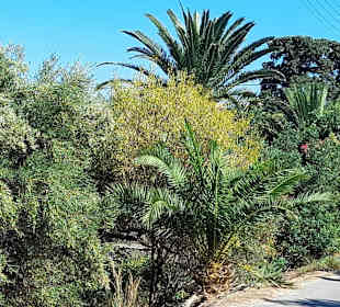 Wandern Chersónisos/Hersonissos