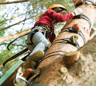 Baumklettern
