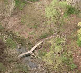 Fußweg zur Schlucht
