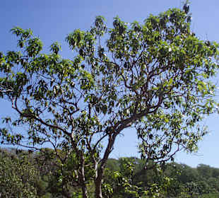 Unterwegs auf den Wanderwegen