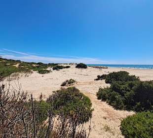 Strand La Barrosa in Novo Sancti Petri
