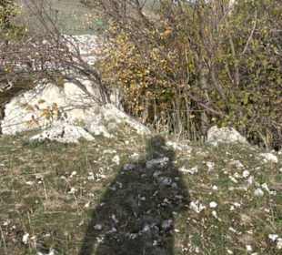 Olgafels