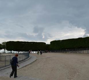 Jardin des Tuileries