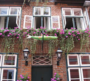 Schöne Häuser in Lüneburg