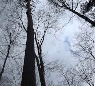 Vitus Mayer Waldlehrpfad