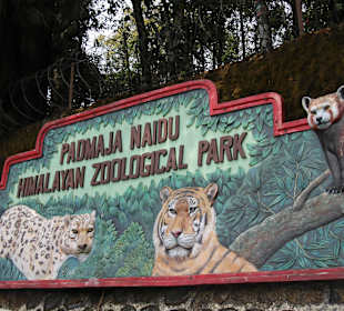 Padmaja Naidu Himalayan Darjeeling Zoo