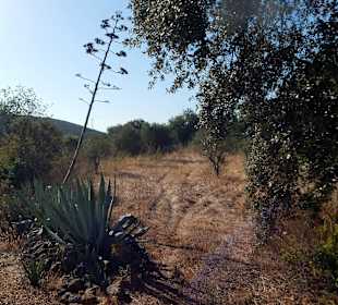 Querfeldein