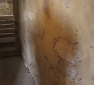 Hohenloher Freilandmuseum