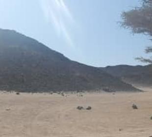 Panorama in der Wüste