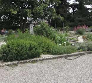 Alter botanischer Garten