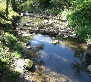 Kurpark Bad Niedernau
