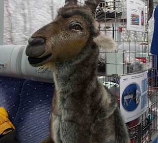 Verkaufswagen im Glacier Express