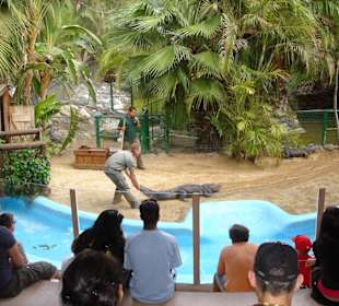Oasis Park Reptilienshow