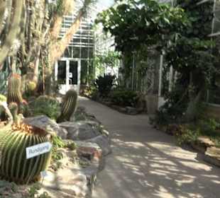 Gewächshäuser Botanischer Garten