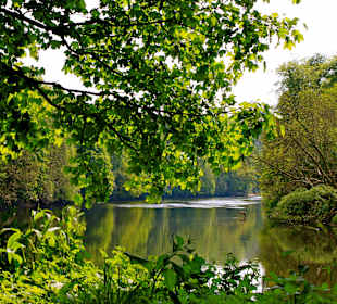 Pond